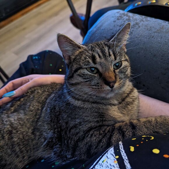 Meet your Posher, Grim - Picture 5 of 6